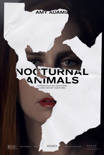 Poster of Nocturnal Animals 2016 DVDScr 700Mb English Movie Watch Online Free Download HDMovies4u