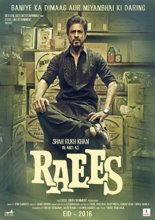 Poster of Raees 2016 Hindi Movie Download Hd Bolly4u